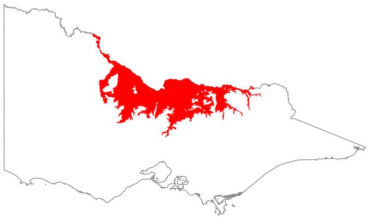 Natural region map: Riverina
