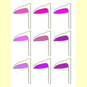 images/Lamellae_colour_(mature_side-on)_purple/Lamellae_colour_purple.jpg