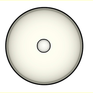 images/Spore_outline_(end)_circular/Spore_end_view_shape-circular.jpg