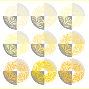images/Spore_print_colour_cream_to_yellow/Spore_print_-_cream_to_yellow.jpg