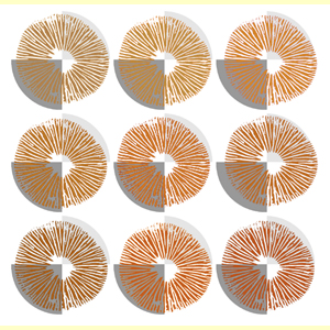images/Spore_print_colour_rusty_to_ochre_brown/Spore_print_-_rusty.jpg